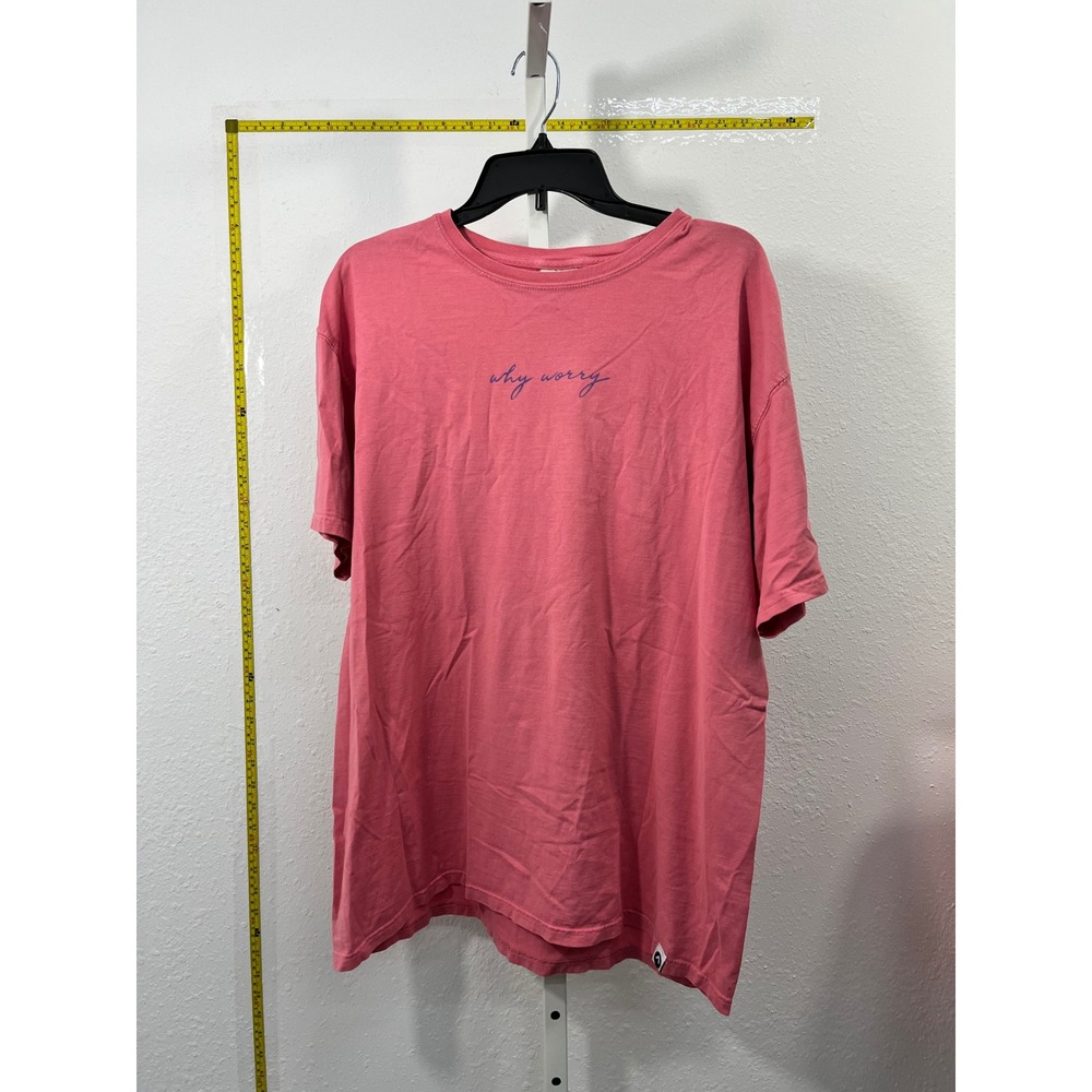 ComfortWash Hanes Why Worry Floral Bird Graphic T-Shirt Pink Men Large Matthew 6